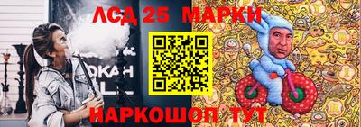 ПСИЛОЦИБИНОВЫЕ ГРИБЫ Кинель