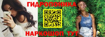 твердый Кингисепп
