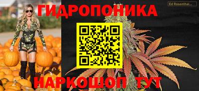 ПСИЛОЦИБИНОВЫЕ ГРИБЫ Кинель