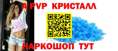 твердый Кингисепп